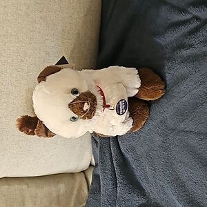 Build-A-Bear Siamese Cat